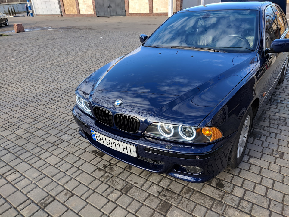 Grille F style чорний глянець 2