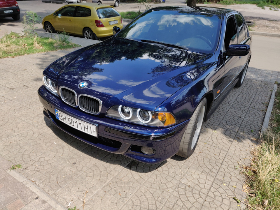 Grille F style чорний глянець 1