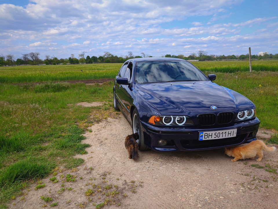 Повернення grill chrome 1