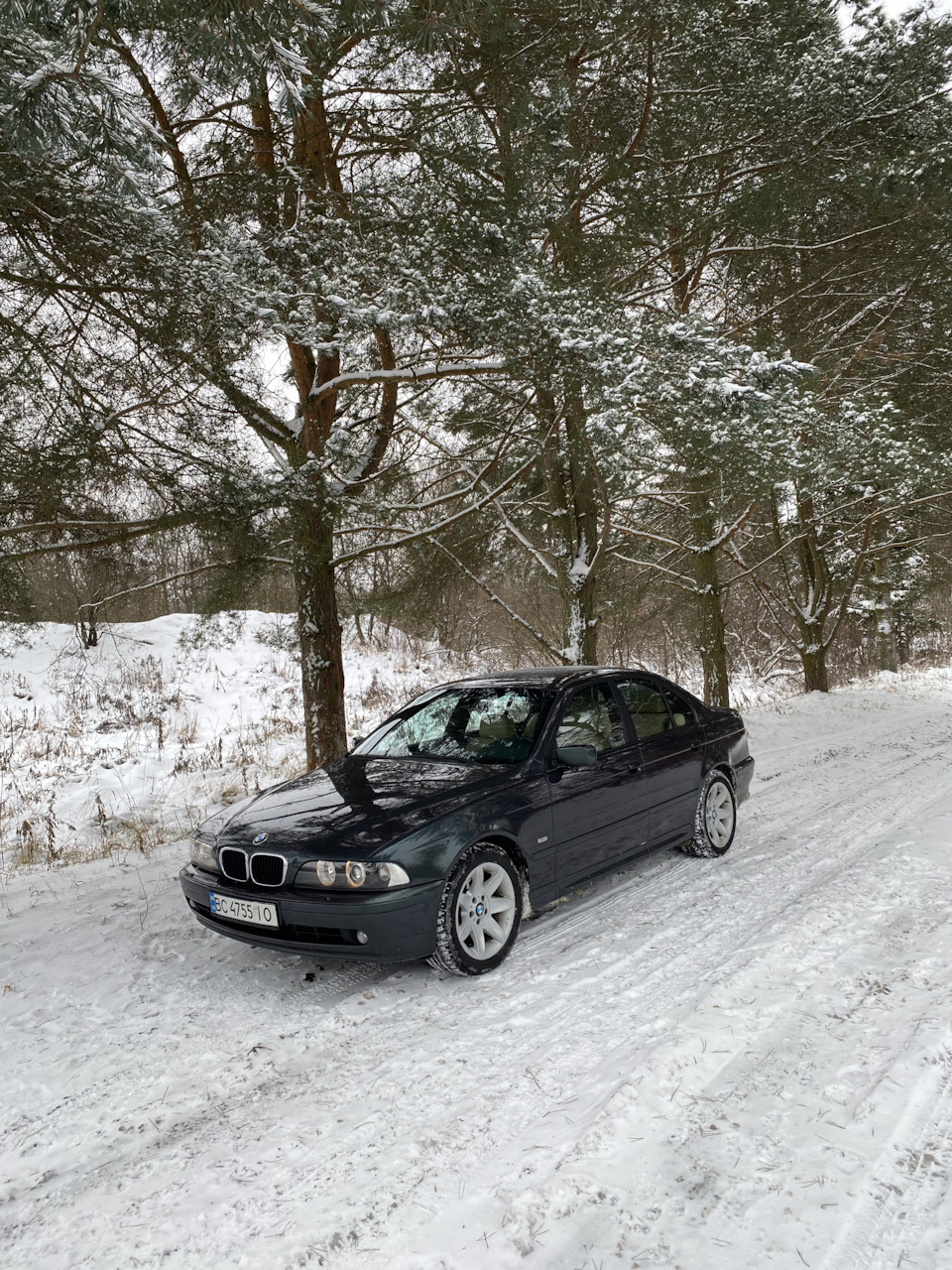 🪲Skarabaeus/// 30років and BMW🥹E39 2