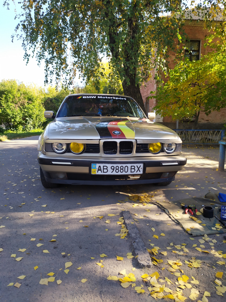 Китайські ДХО 2