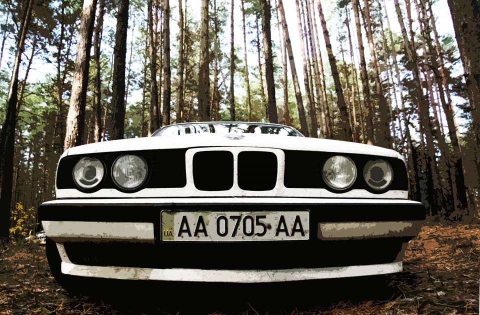 поїхали просто погуляти лісом. 1