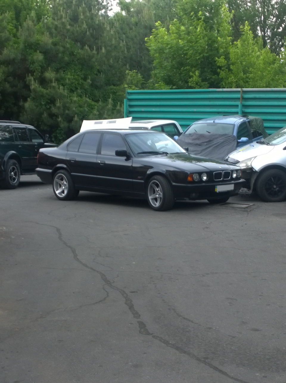 Продаж ластівки або пошук альтернативи 5