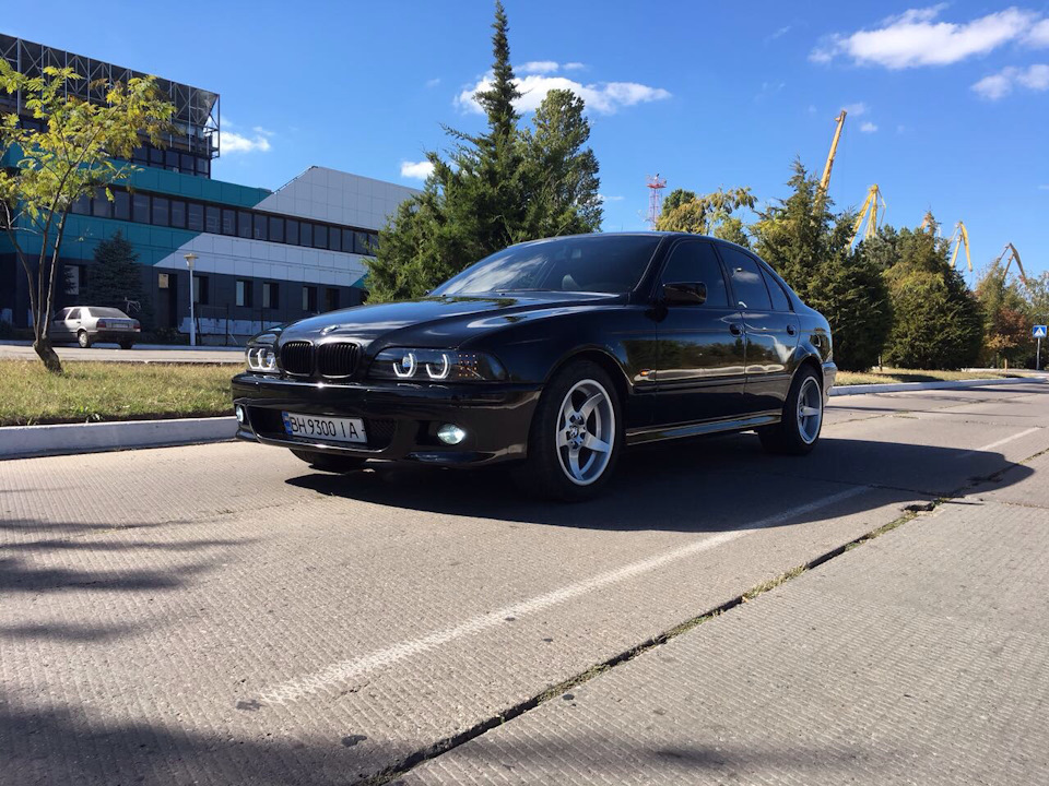 Просто свіжі фото 5