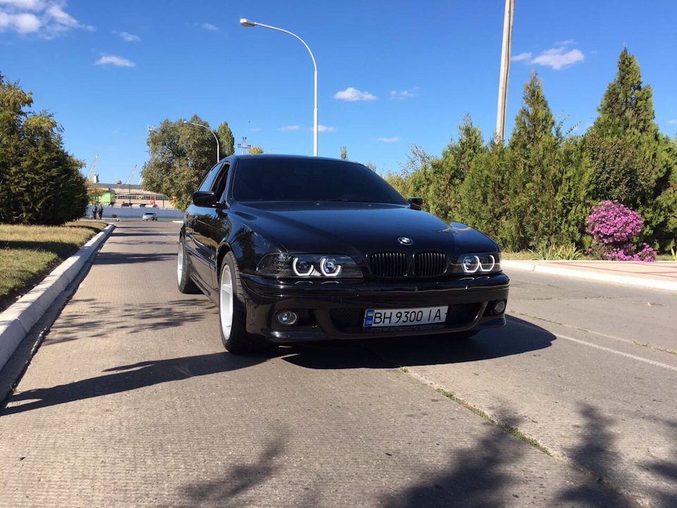 Просто свіжі фото 4