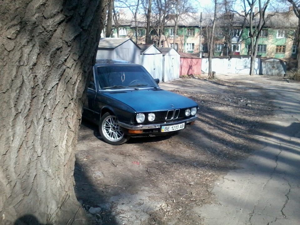 Пару свіжих фото 3