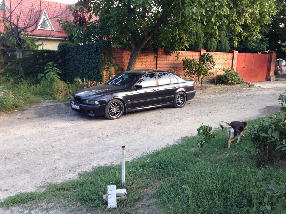 Розвал 5