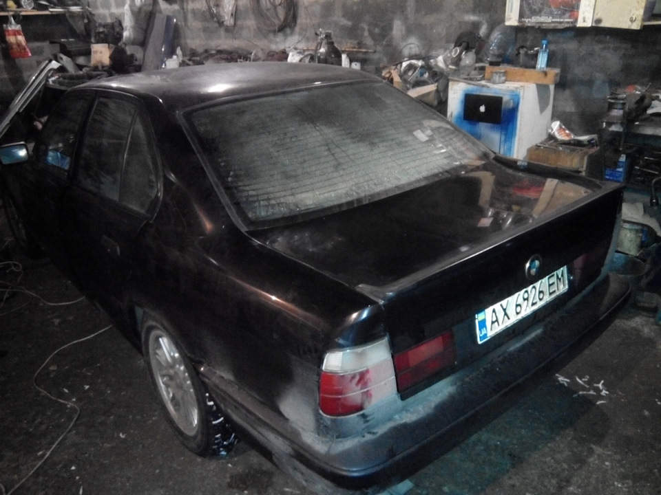 Хвіст (Ducktail) 3