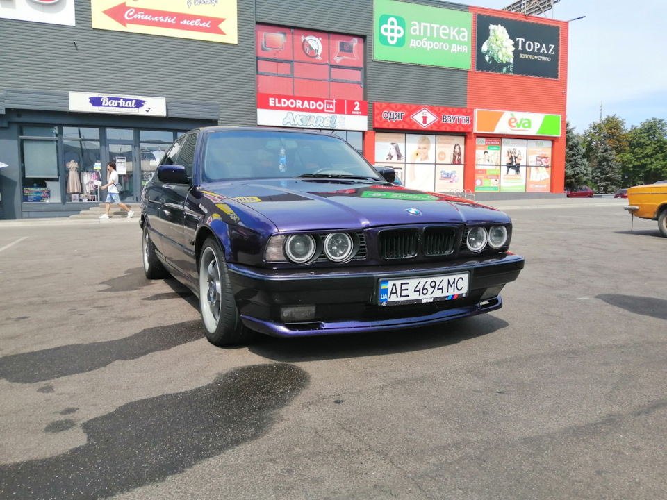 Дрібне забарвлення 5
