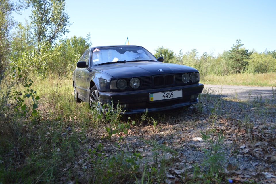 Прокотилися в ліс) 3