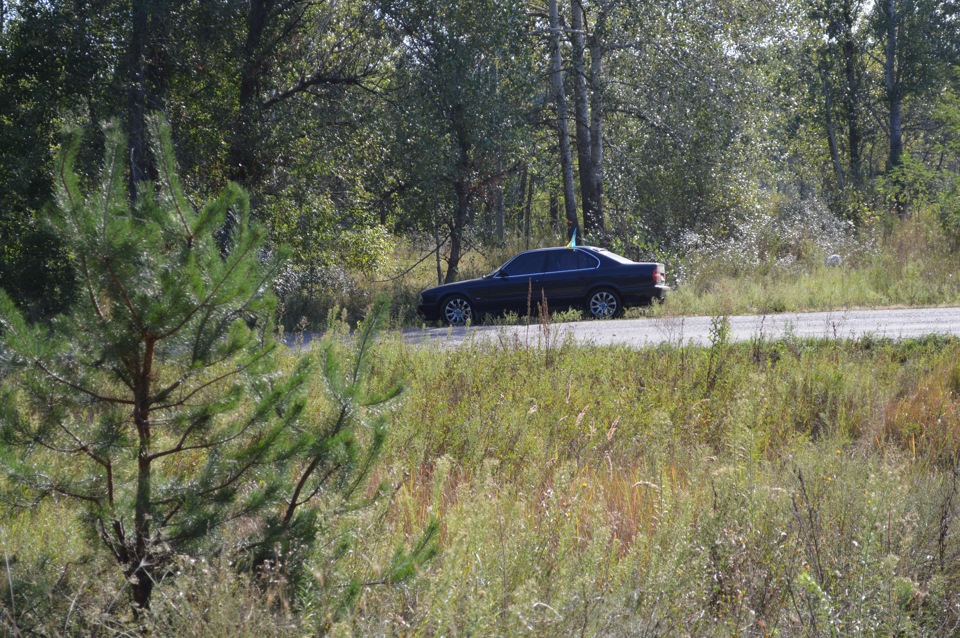 Прокотилися в ліс) 5