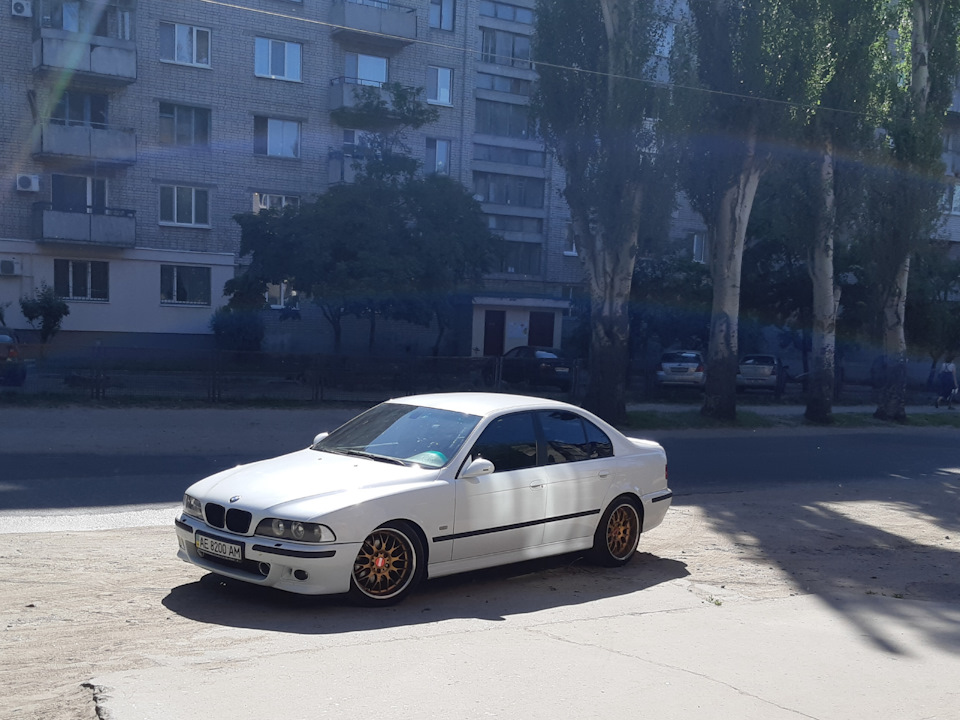 Парочка фото 2