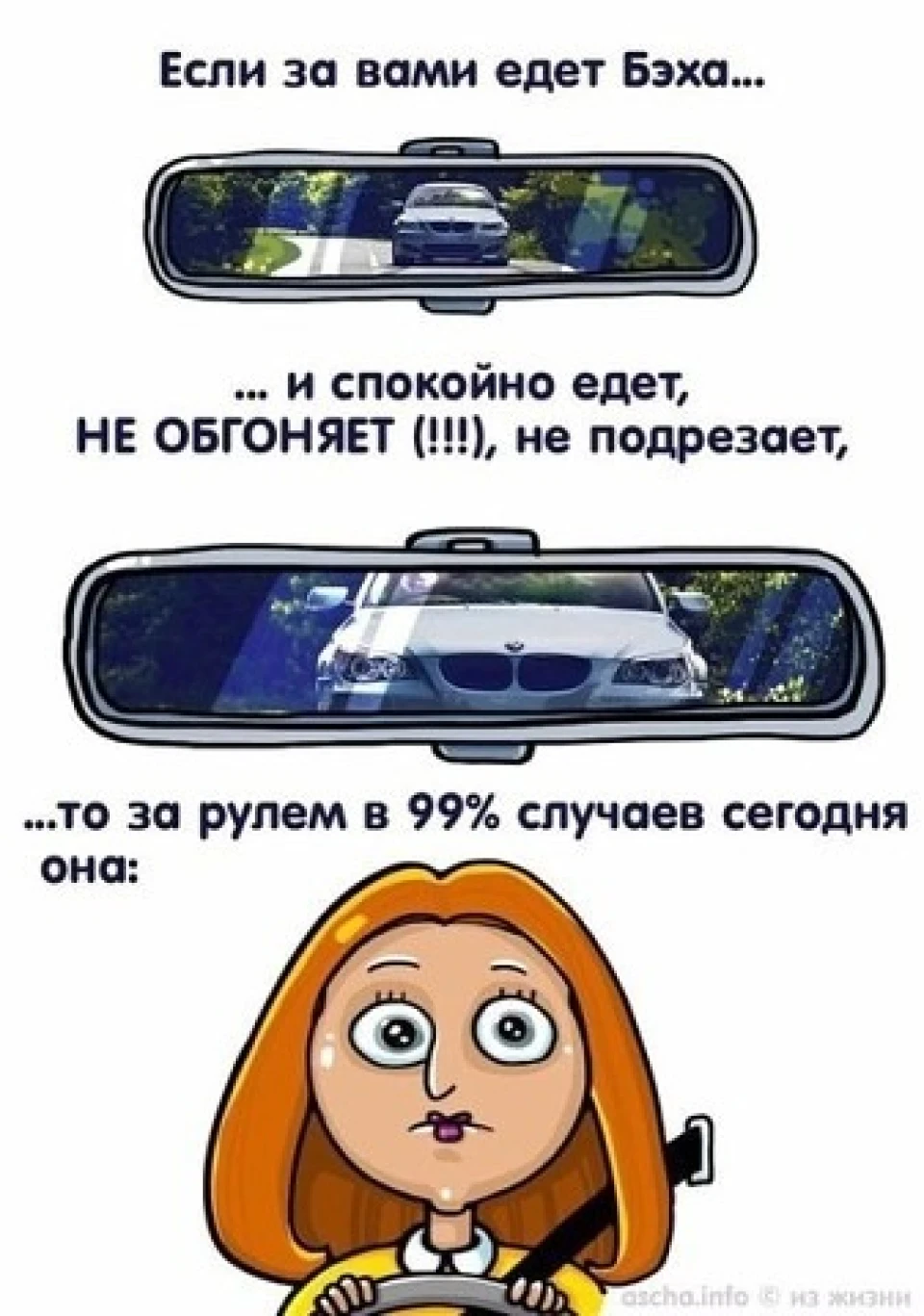 Шановні знавці