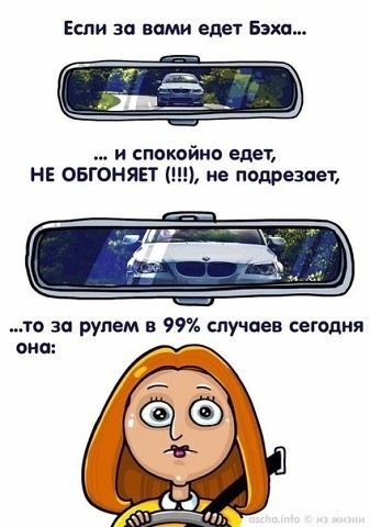 Шановні знавці 1