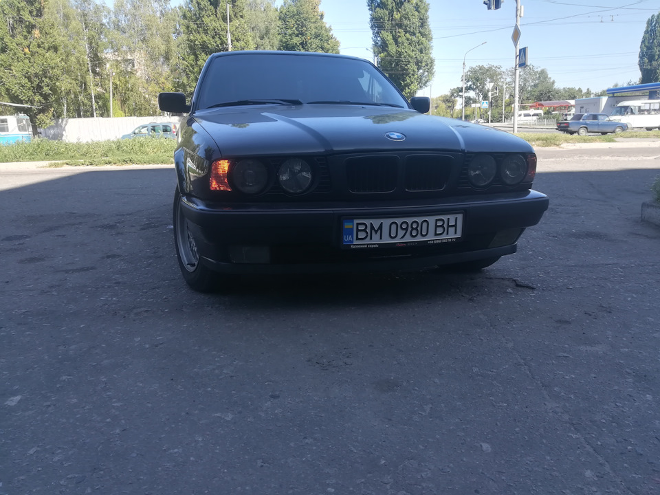 Американський вигляд 1