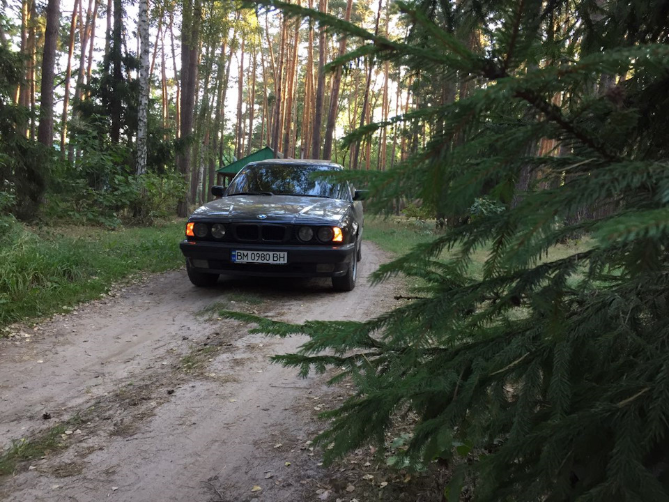 Американський вигляд 5