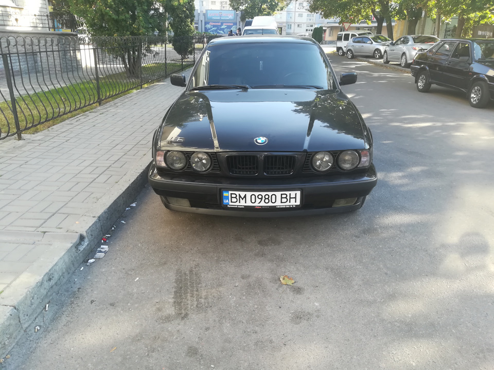 Димчасті повороти 1