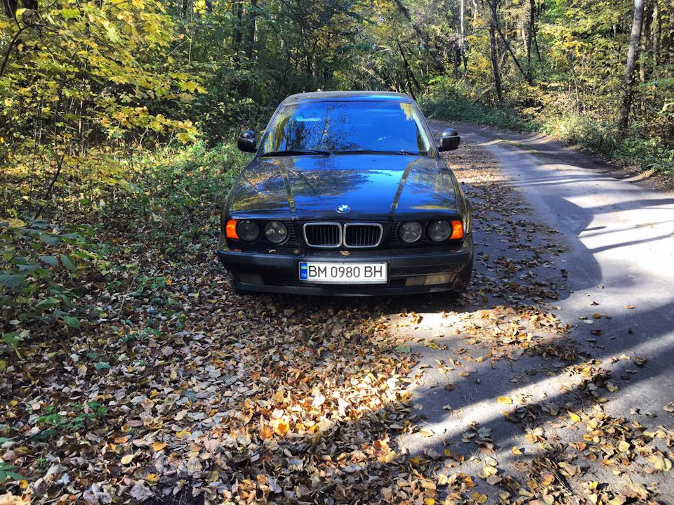 Осінь, ліс, BMW/// 1