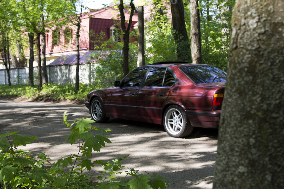 Фотосесія I 5