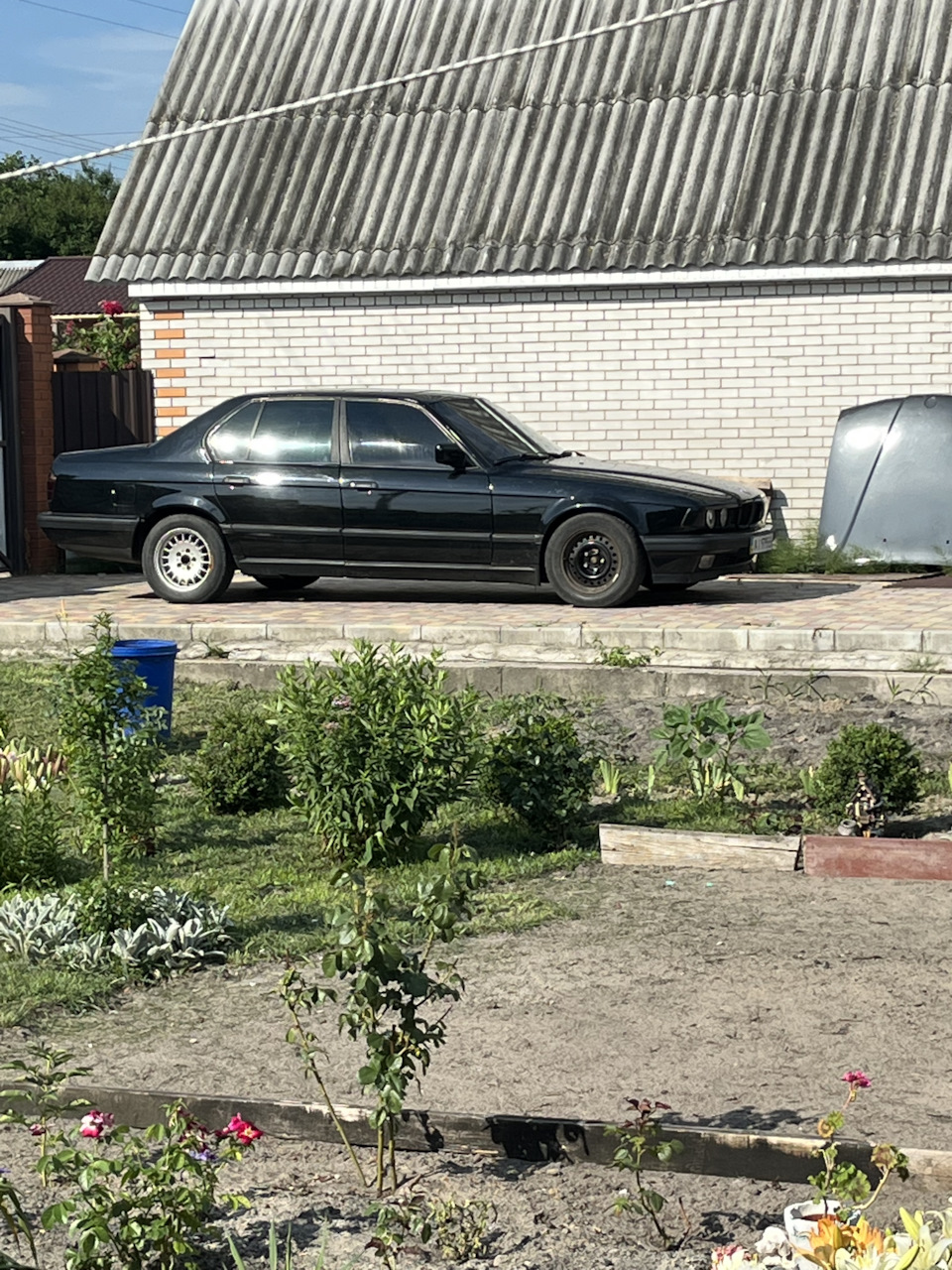Ах.ть кричали гості! 1