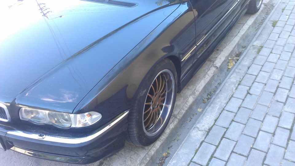 свіжі 5