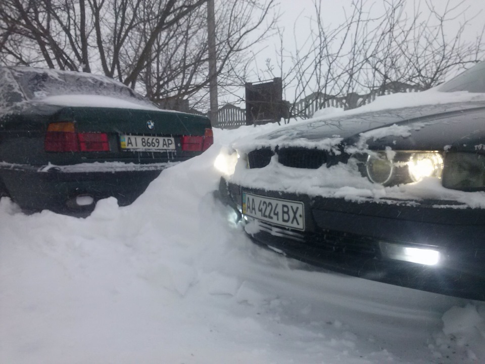 Диво весна! 2