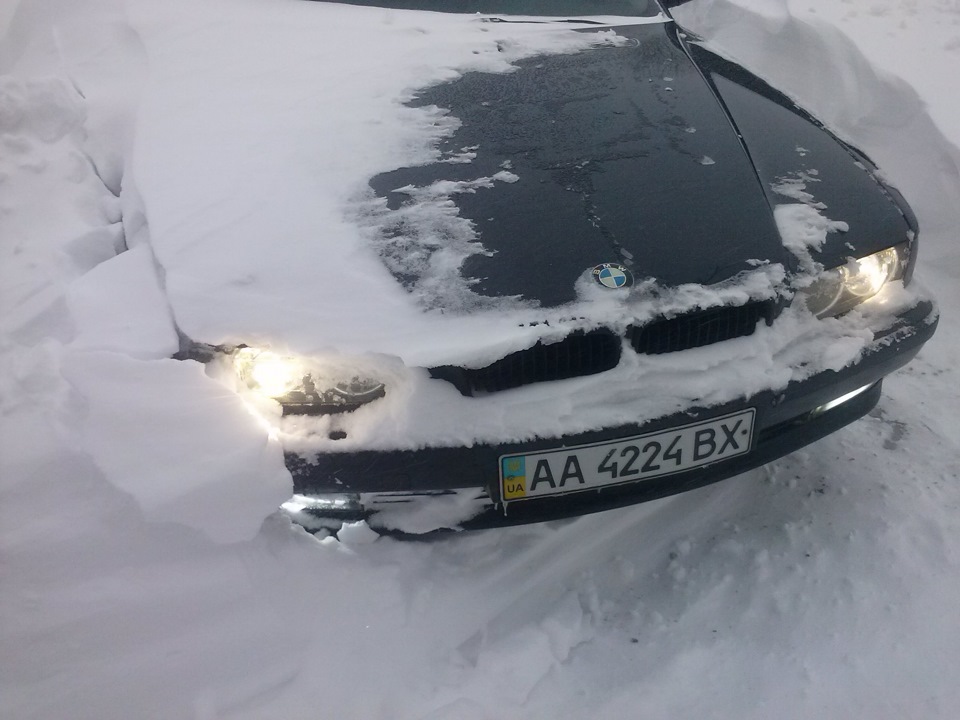 Диво весна! 1