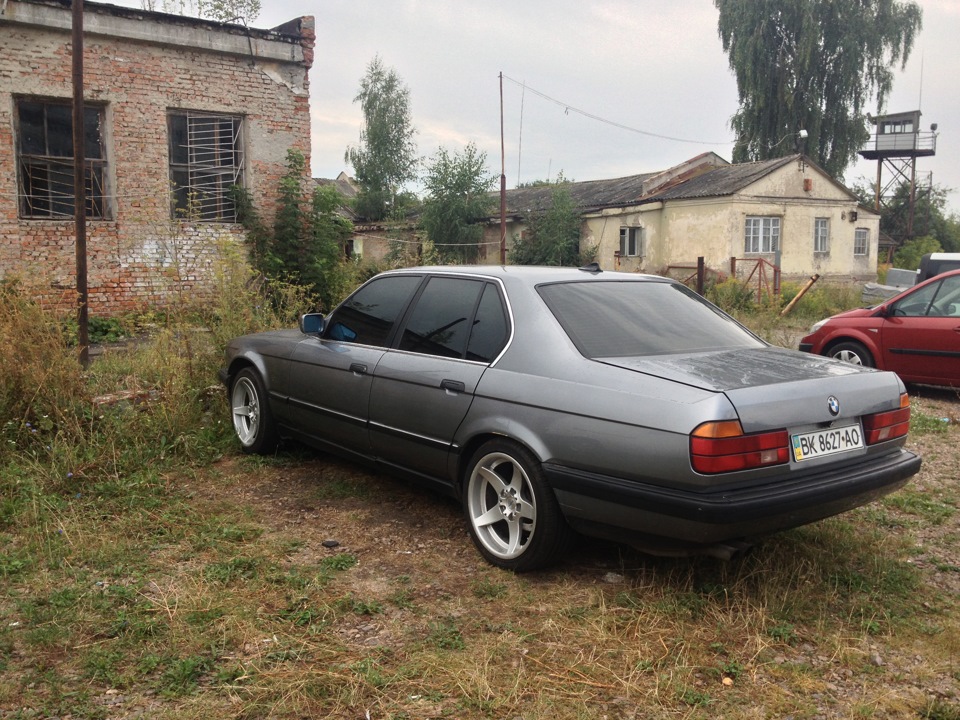 Тапки 1