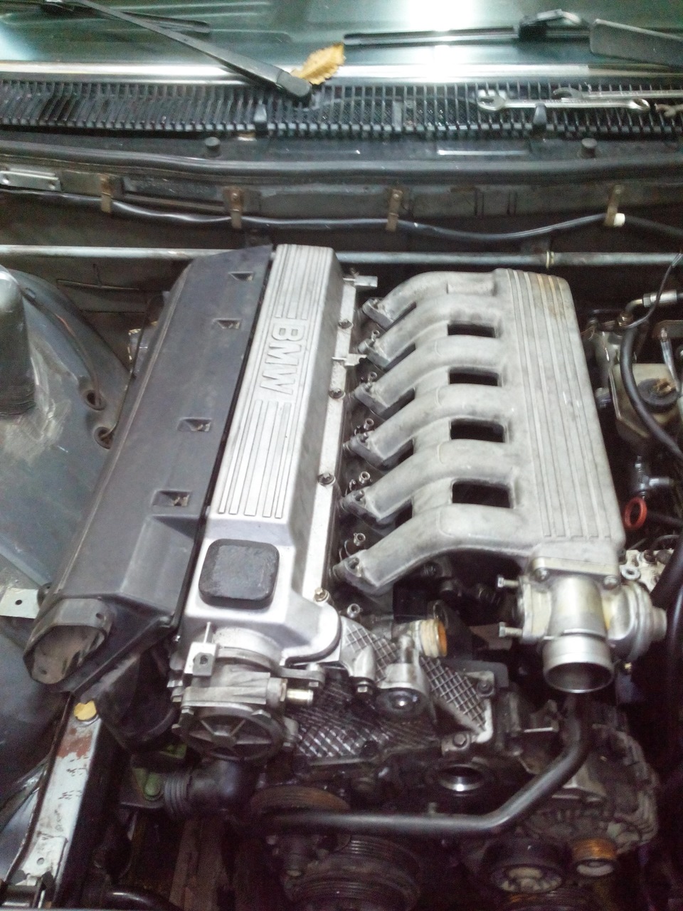 Поставил М51 TDS 3