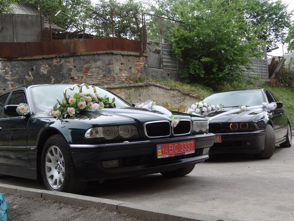 Фотки Весільні… 3