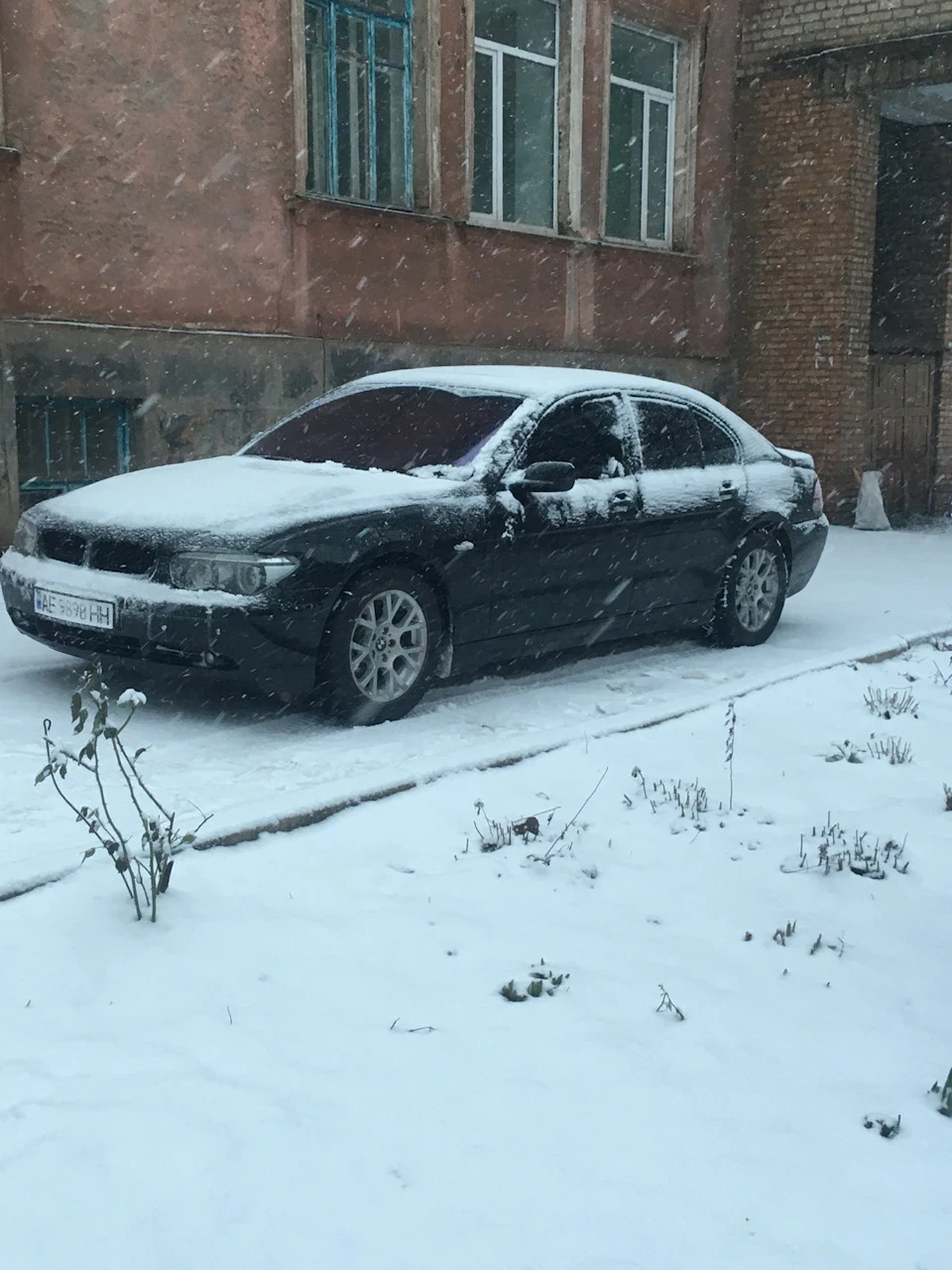 Важко в зиму насінням :(