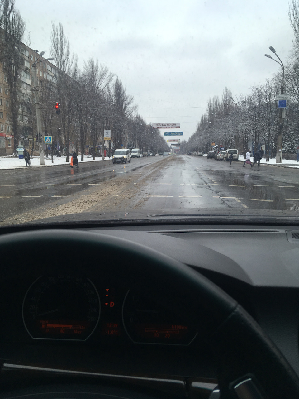 Важко в зиму насінням :( 2