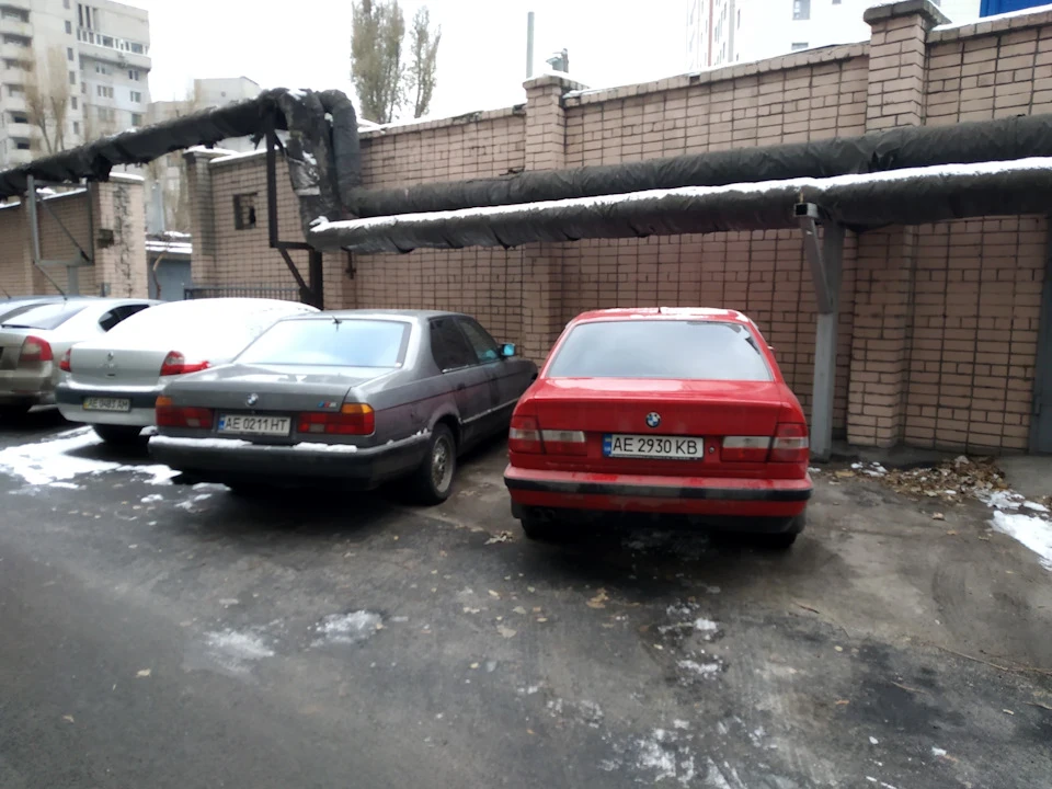 Думки скакуни ...