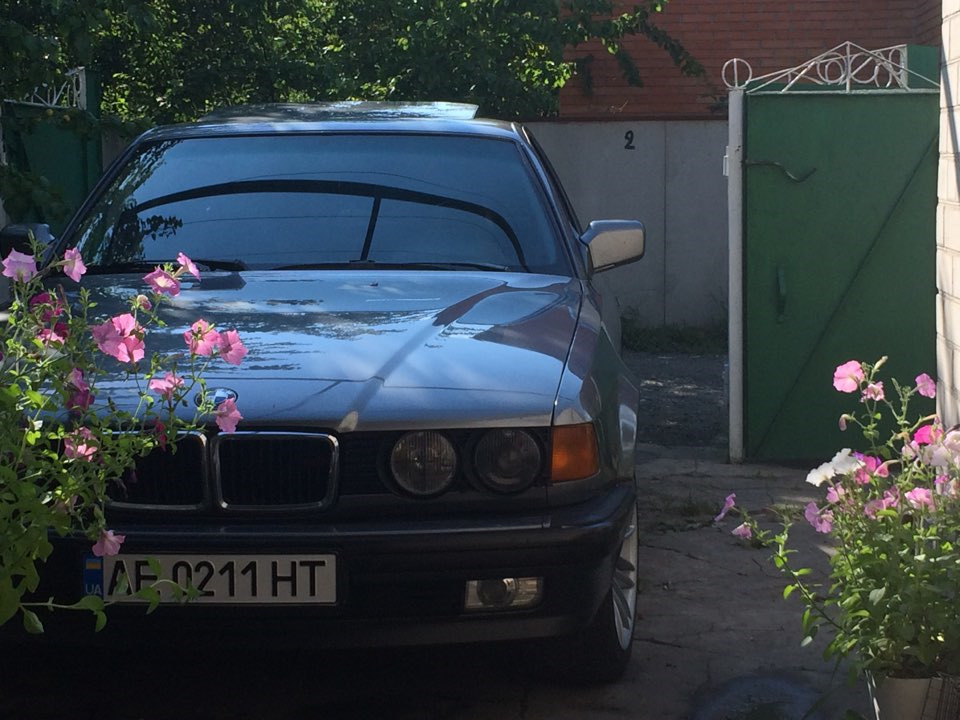 Просто фото з телефону 1