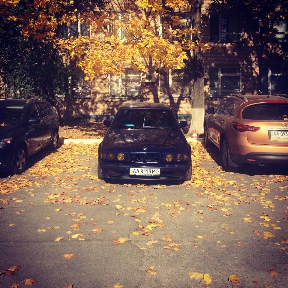 Осінь… :-)