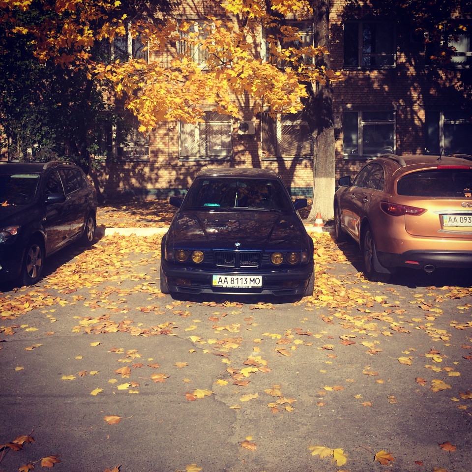 Осінь… :-) 1