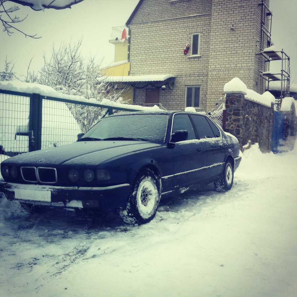 Пару зимових фоток 3