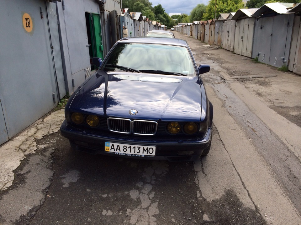 Shadow or Chrome ніздрі? 1