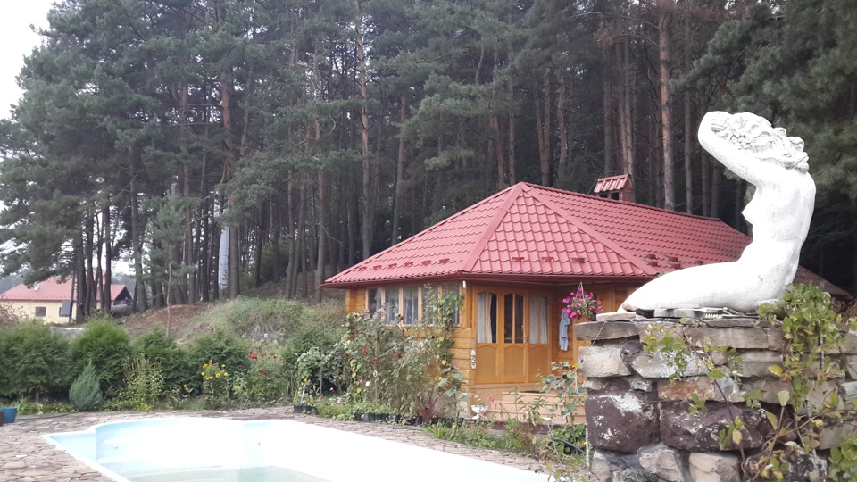 Пару фоток у лісі. 3