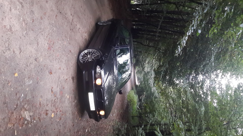 Пару фоток у лісі. 1