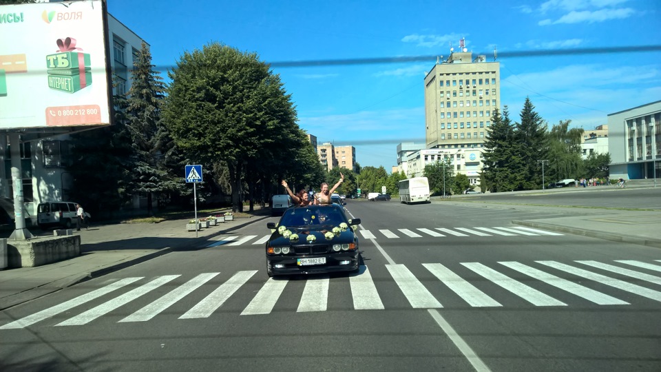 Весілля - віз 1