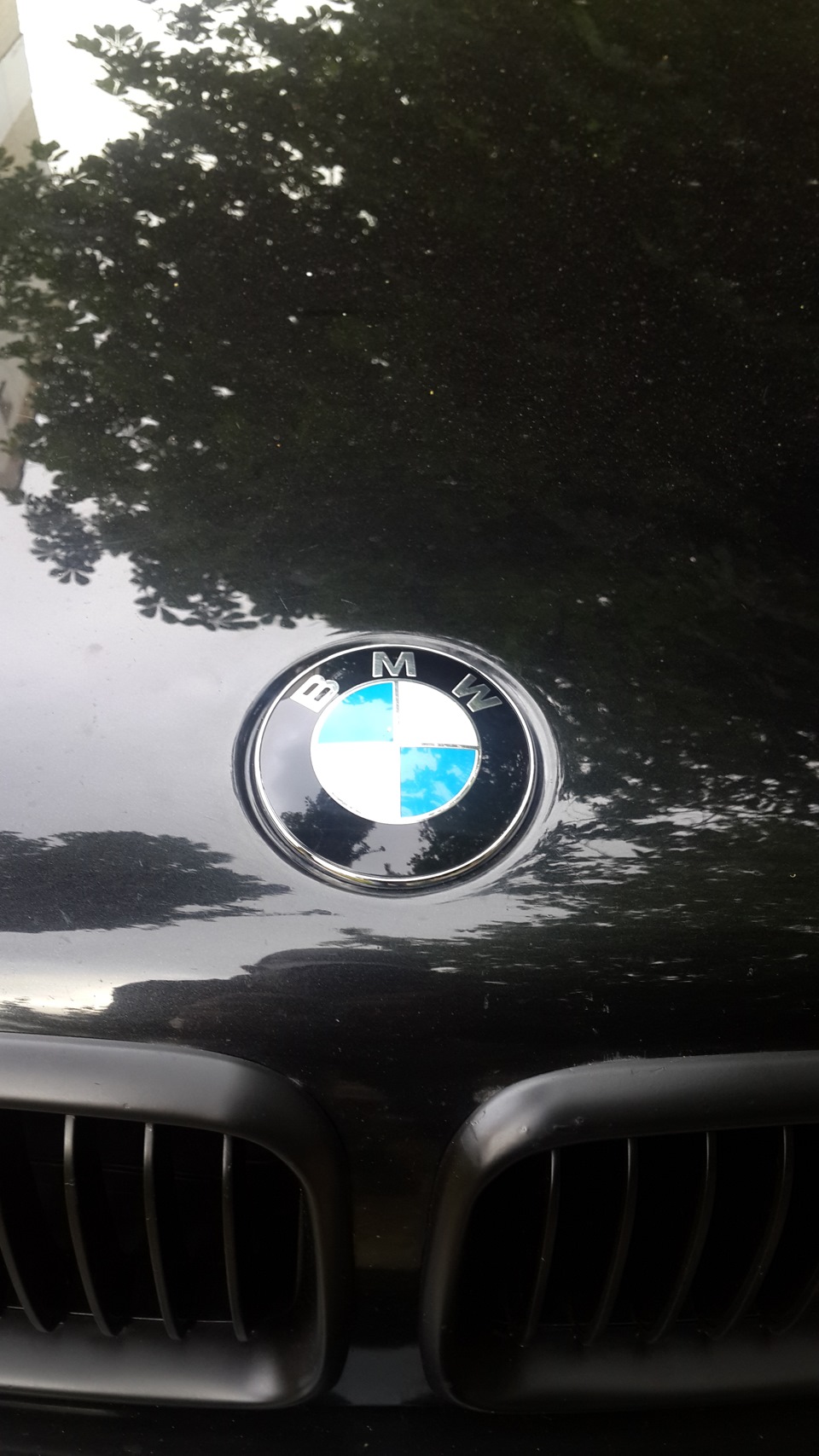 Повернення шильдиків BMW 2