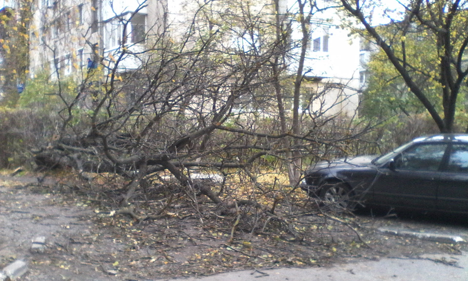 Фартова тачка 1