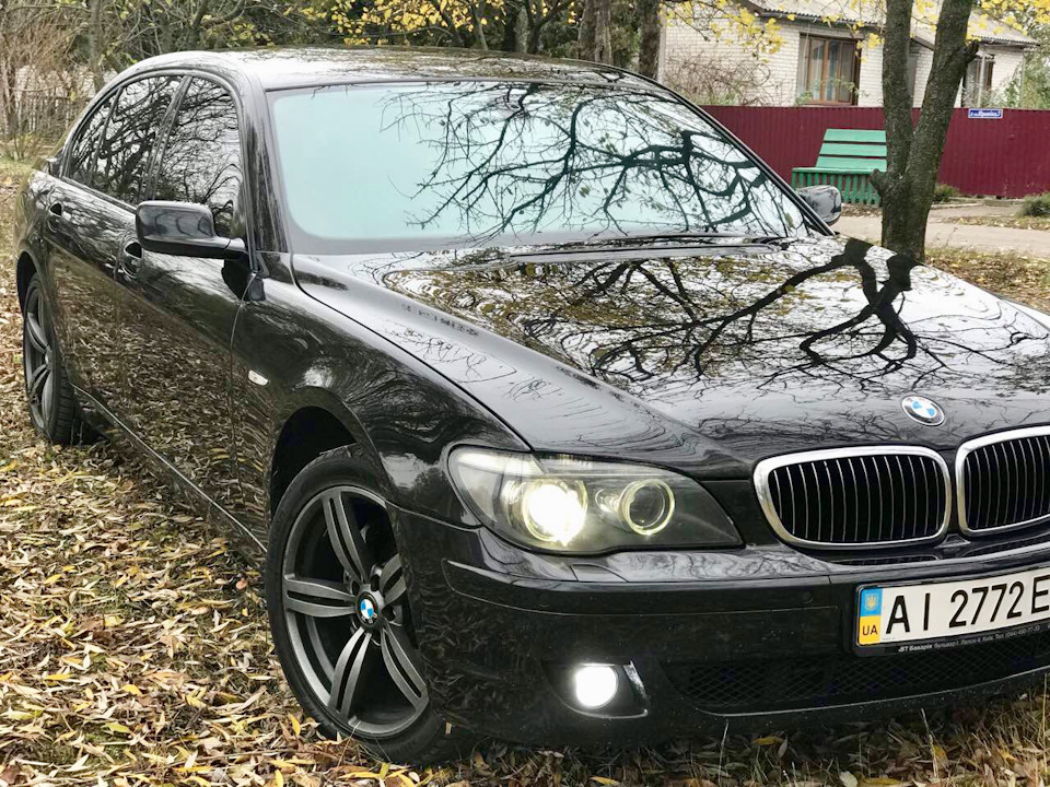 Поставив нові Тапки 2