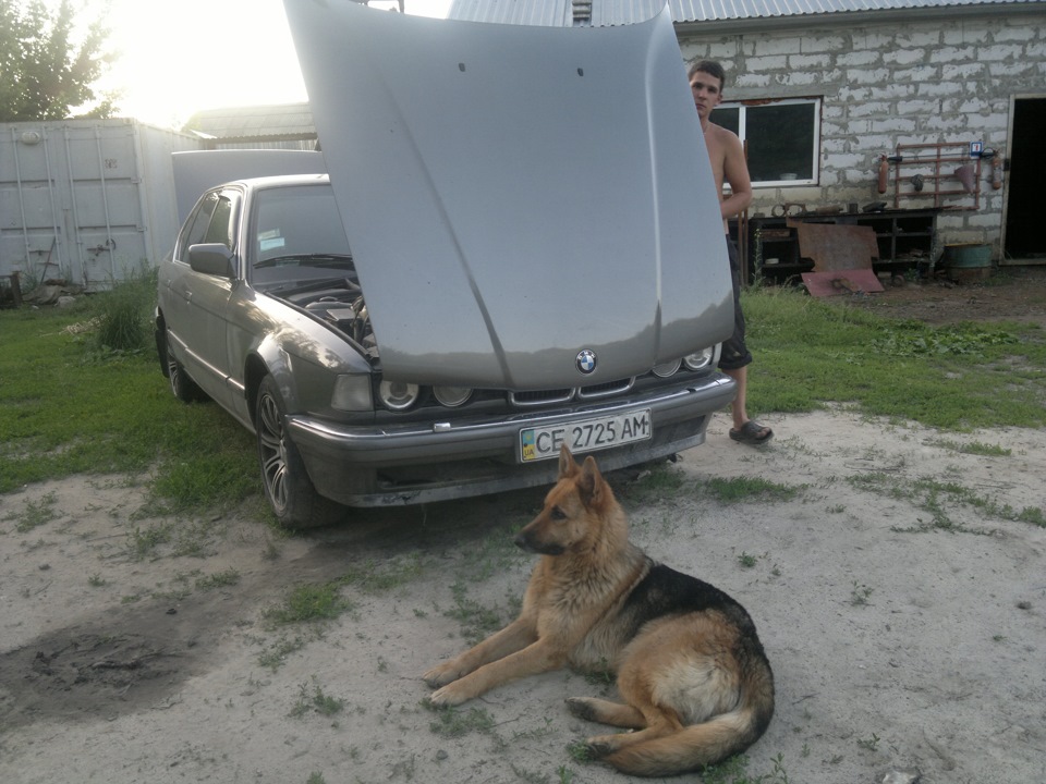 Ну ось! Зроблено! Помпа бмв диски, свічки і т.д. 3