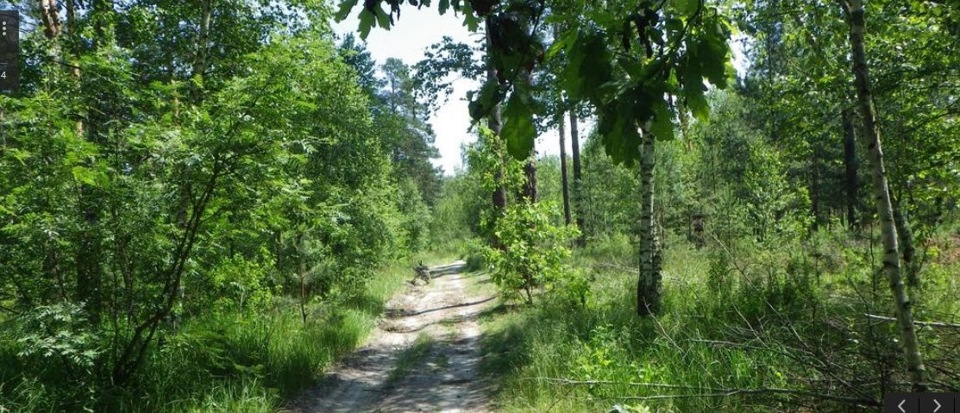 Прошу особисто підтримати заборону на вирубку лісу, який хочуть відібрати у нас киян, і побудувати там котеджі. 2