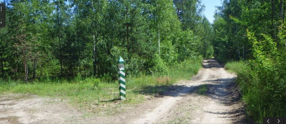 Прошу особисто підтримати заборону на вирубку лісу, який хочуть відібрати у нас киян, і побудувати там котеджі. 3