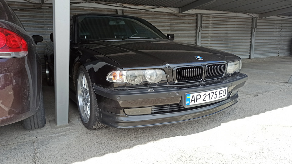 Губа типу Alpina 2