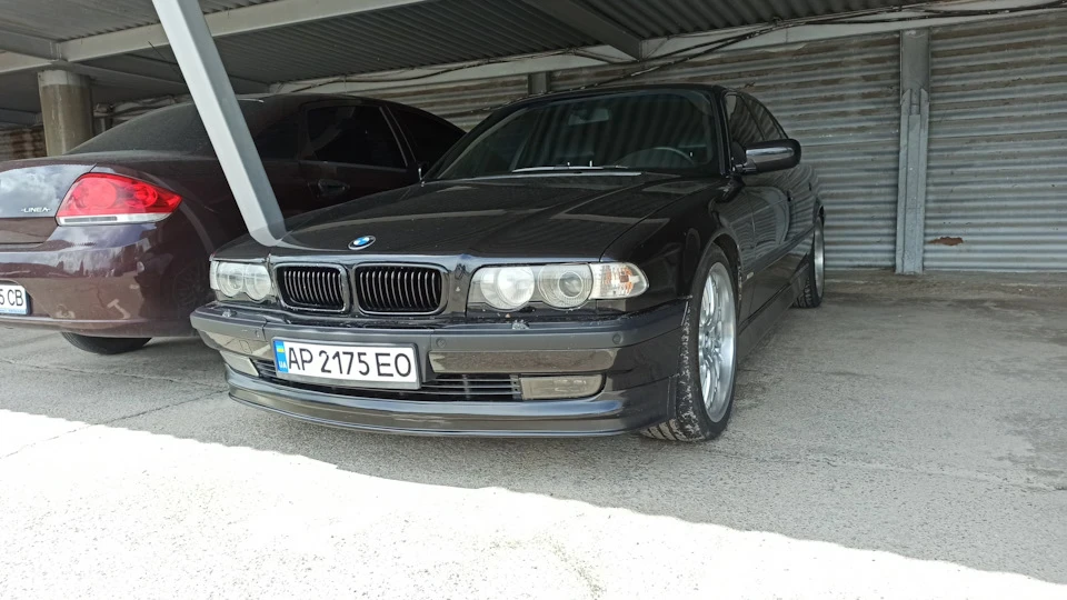 Губа типу Alpina
