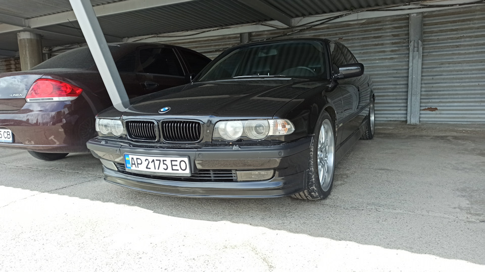 Губа типу Alpina 1